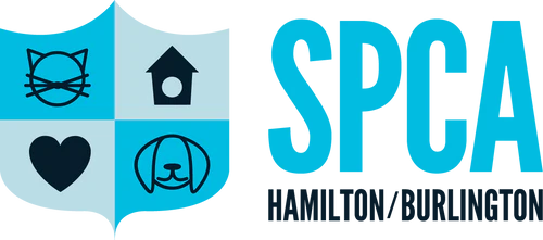 SPCA