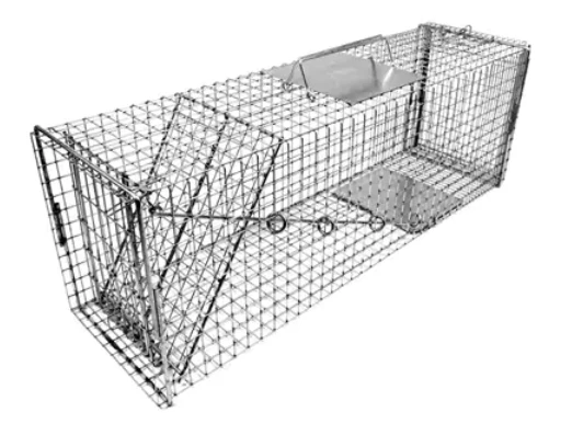 Critical Animal Care